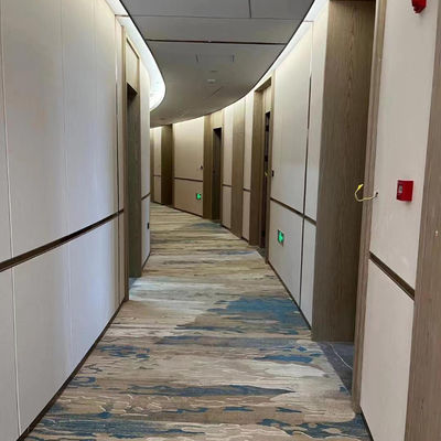 Hoog kwaliteits tapijt Nylon Custom Printing Carpets Modern Design Style voor Hotel