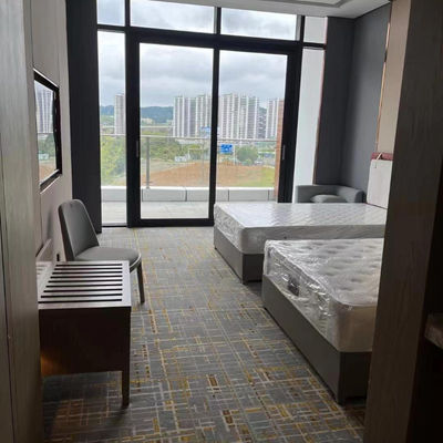 Hoog kwaliteits tapijt Nylon Custom Printing Carpets Modern Design Style voor Hotel